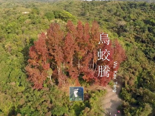 鄉村秋色 － 烏蛟騰