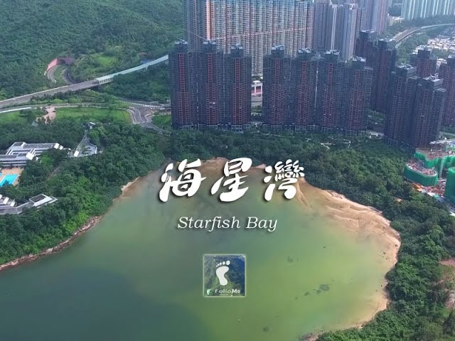 星之海 － 海星灣