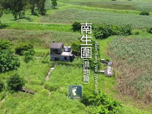 河畔濕地 －南生圍（一）