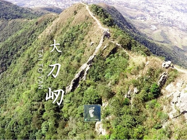 薄如刀刃 － 大刀屻