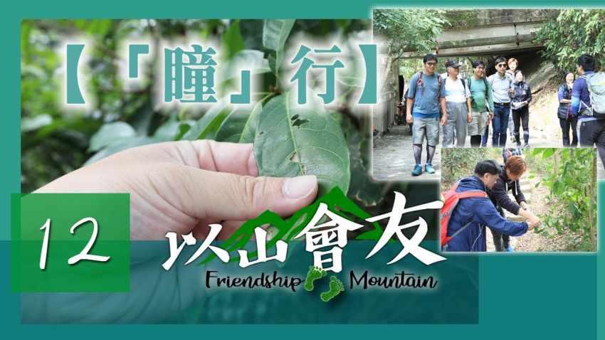 【以山會友】「瞳」行