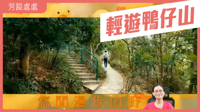 輕遊鴨仔山