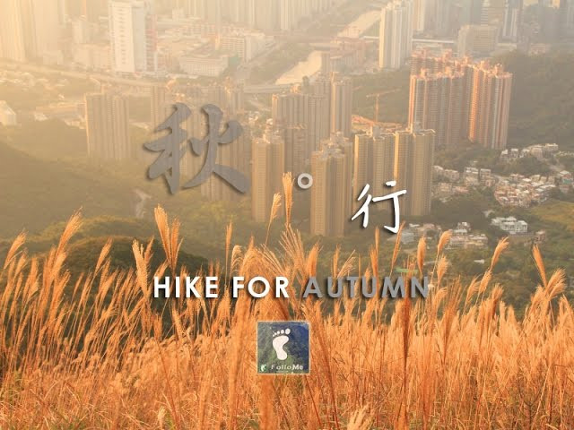 【秋。行 】