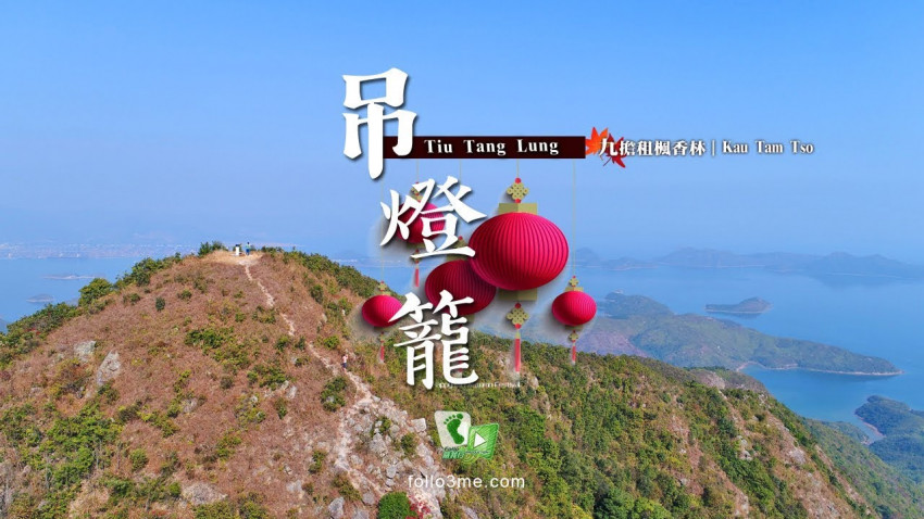 冬日美景 － 吊燈籠｜九擔租楓香林