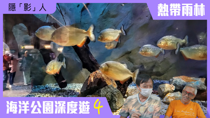 隱「影」人 海洋公園深度遊 第四集(熱帶雨林篇)