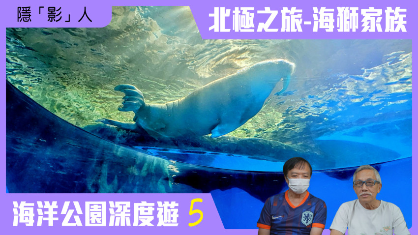 隱「影」人 海洋公園深度遊 第五集(北極之旅-海獅家族)
