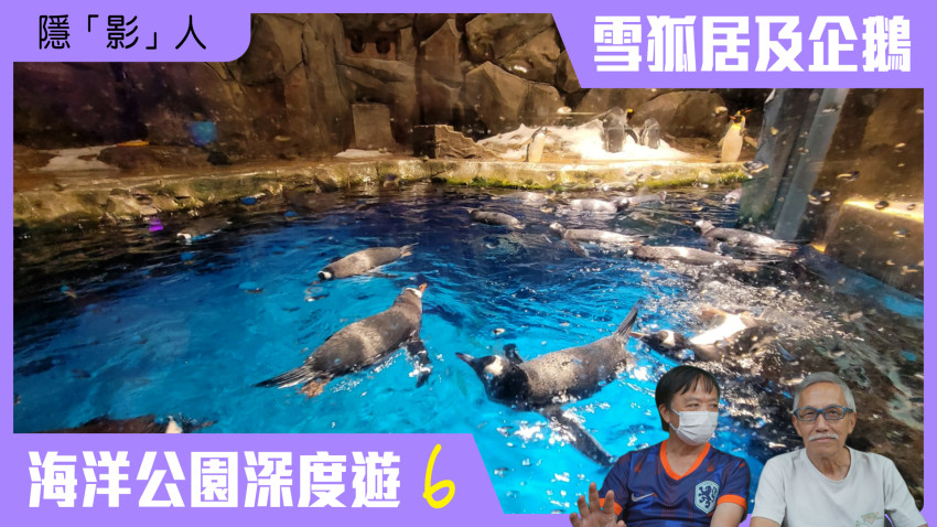 隱「影」人 海洋公園深度遊 第六集(雪狐居及企鵝)