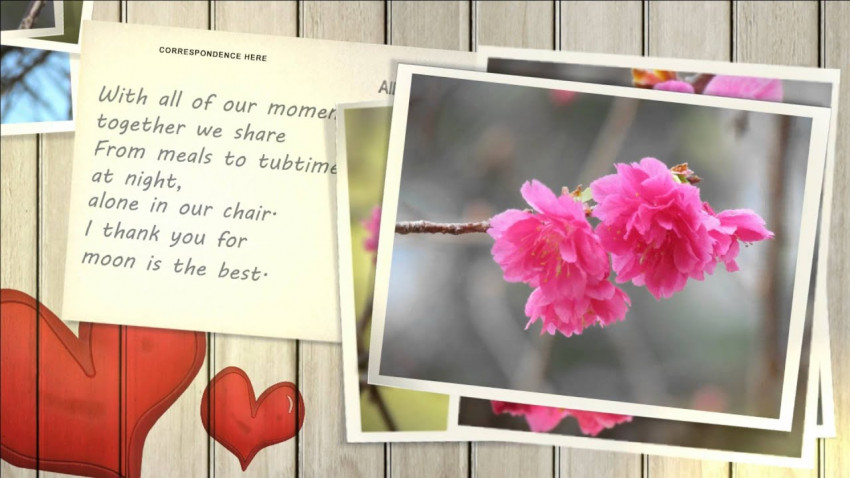 平凡攝影手記-長洲櫻花