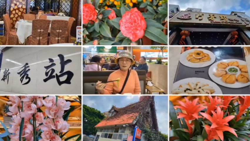 深圳 II 蓮塘口岸 II 一個地鐵站 II 步行七分鐘 II 飲茶 II 賞花 🫖🌷🌸