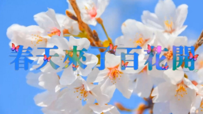 春天來了百花開🌺💐🌹☘️
