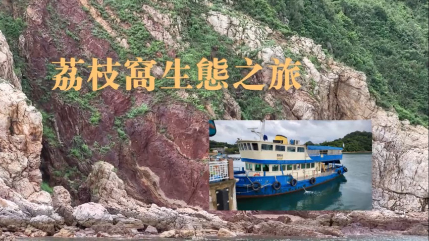 荔枝窩生態之旅