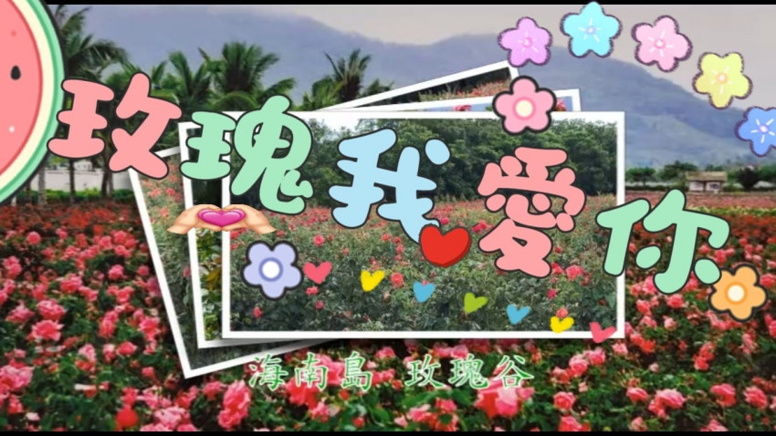 Rose 海南島-玫瑰谷 II 送你一首靚歌 II 襯哂景 II 玫瑰我愛你 🌹🌹